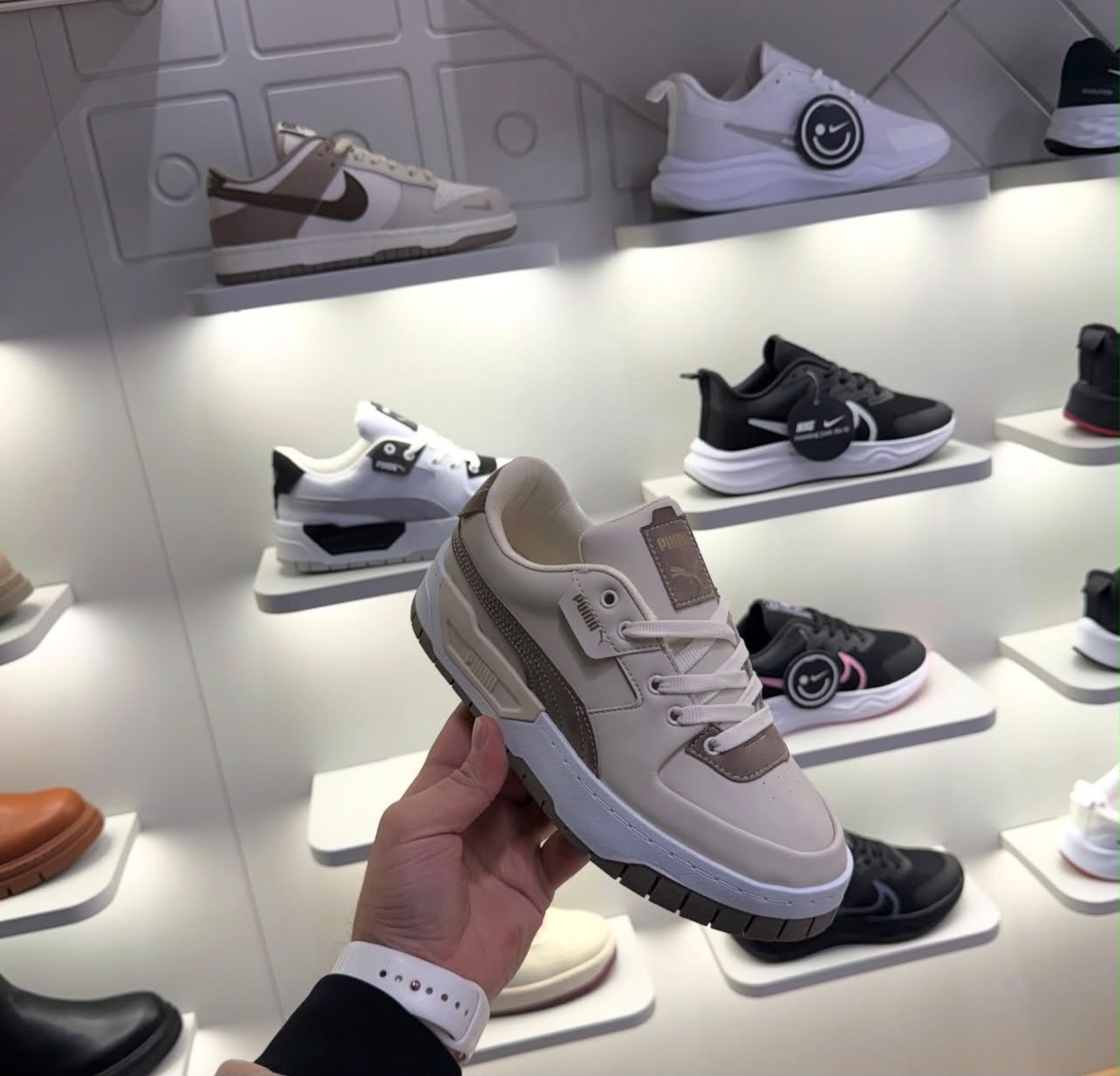 Puma