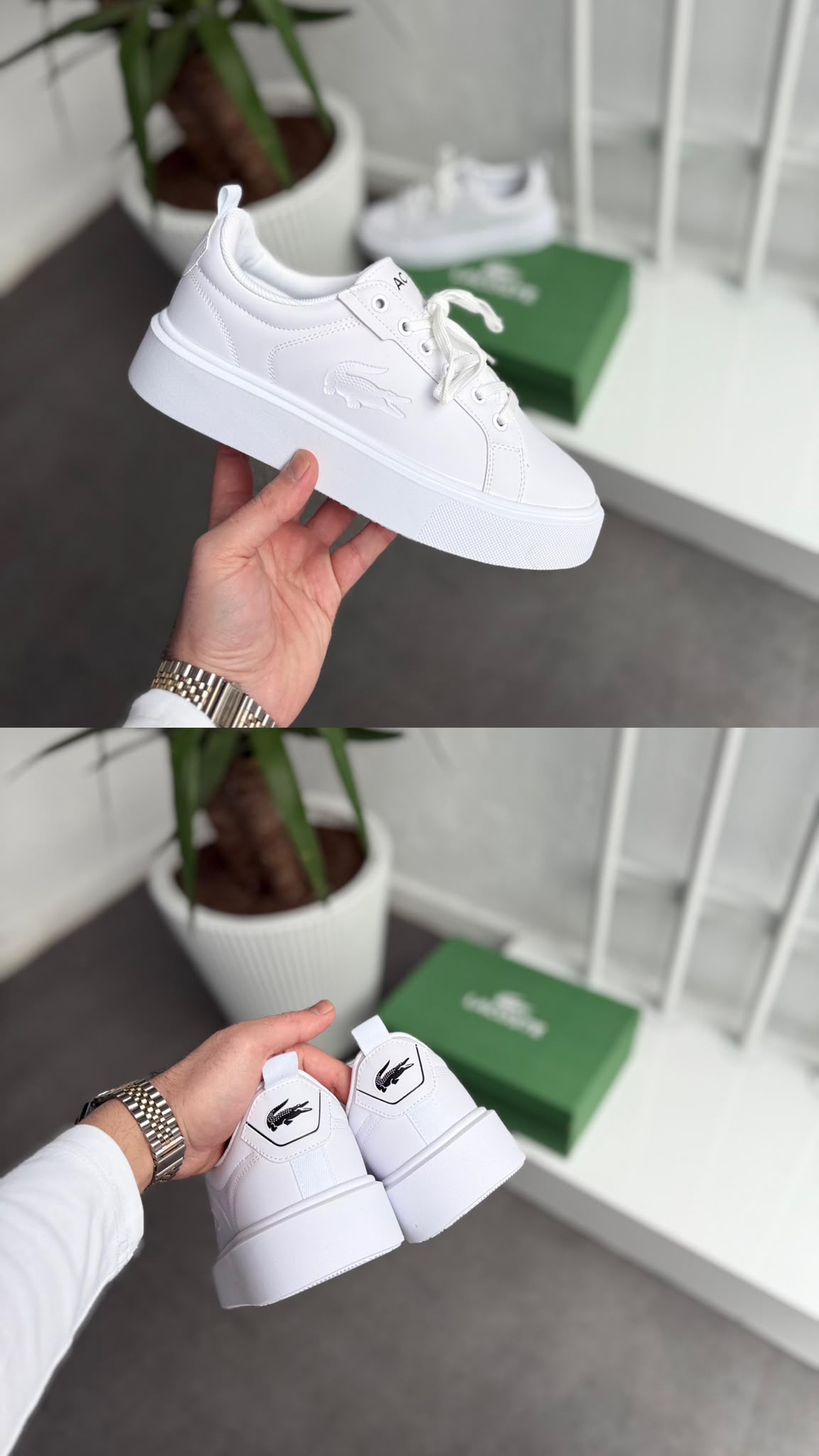 Lacoste